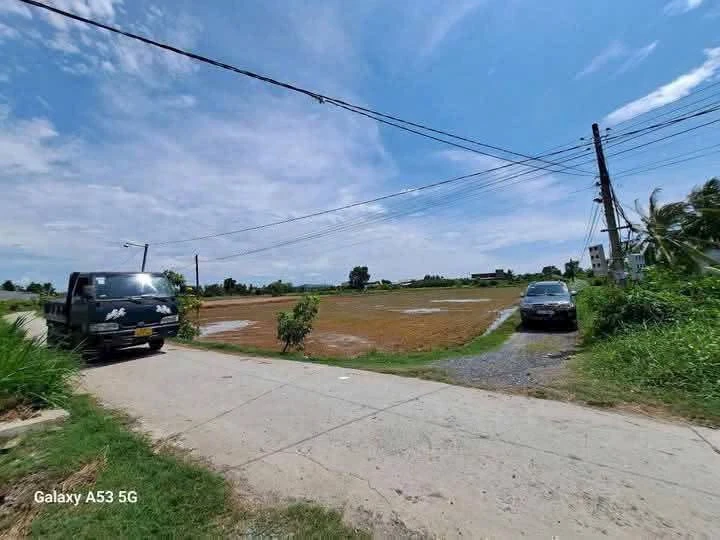 Bán đất lúa mặt tiền 2000m² Thủ Thừa Long An 2,1 tỷ - Ảnh thu nhỏ 2
