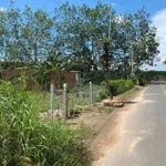 Chú Tám cần bán đất vườn trái cây sẵn nhà cấp 4 ở Bình Dương, rộng 2541m2, thổ cư, giá rẻ 680tr - Ảnh thu nhỏ 5