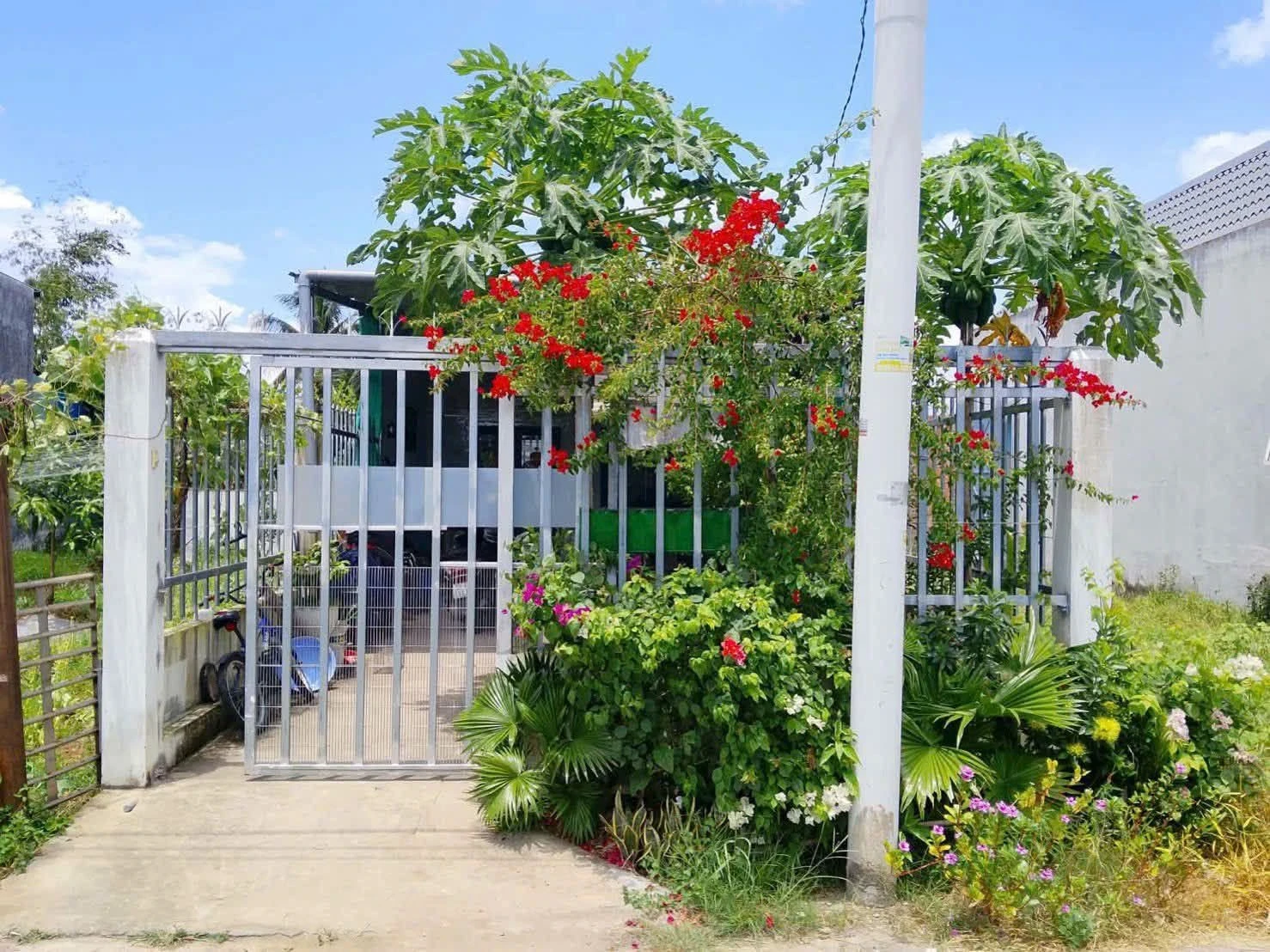 Bán nhà cấp 4 115m² Xã Mỹ Yên Long An - Ảnh 1