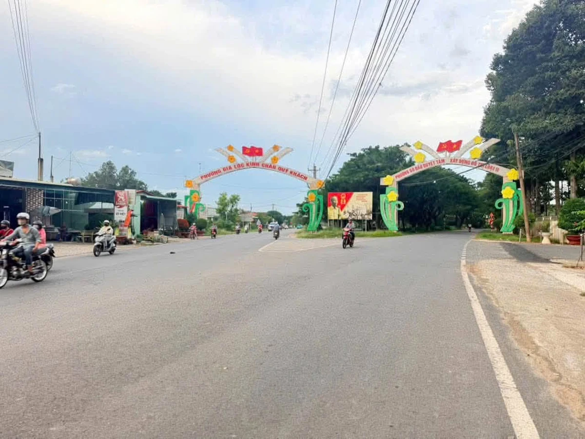 Bán đất mặt tiền Hương Lộ 1, 569m2, Gò Dầu, Tây Ninh - Ảnh thu nhỏ 4