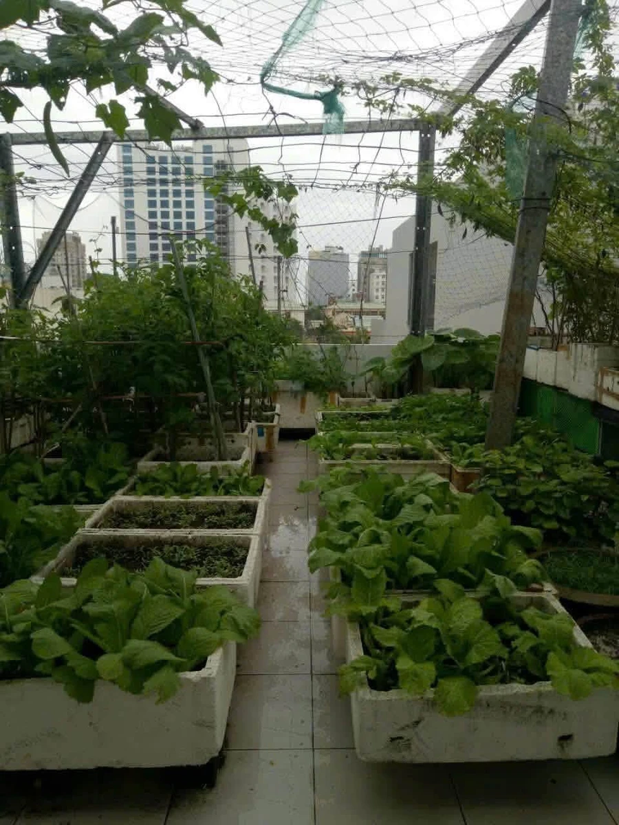 Bán nhà 5 phòng 4WC, mặt tiền Phan Thúc Duyện, 139m2, 2 tỷ - Ảnh thu nhỏ 3