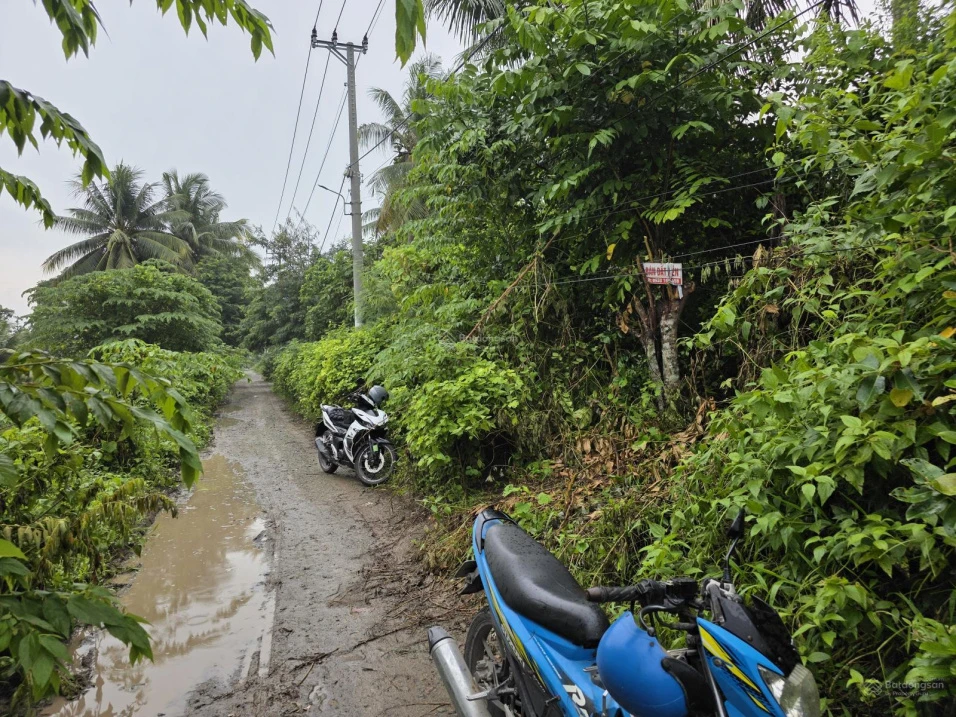 Bán đất tại phường 5, Sóc Trăng, 1,3 tỷ, 727m2, view đẹp, giá ưu đãi - Ảnh thu nhỏ 2