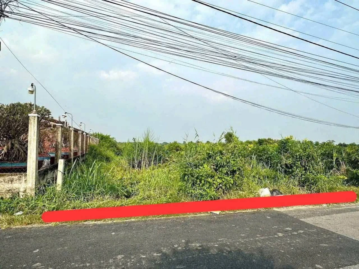 Bán đất mặt tiền 1500m² Nguyễn Văn Nhâm Tân An - Ảnh thu nhỏ 2