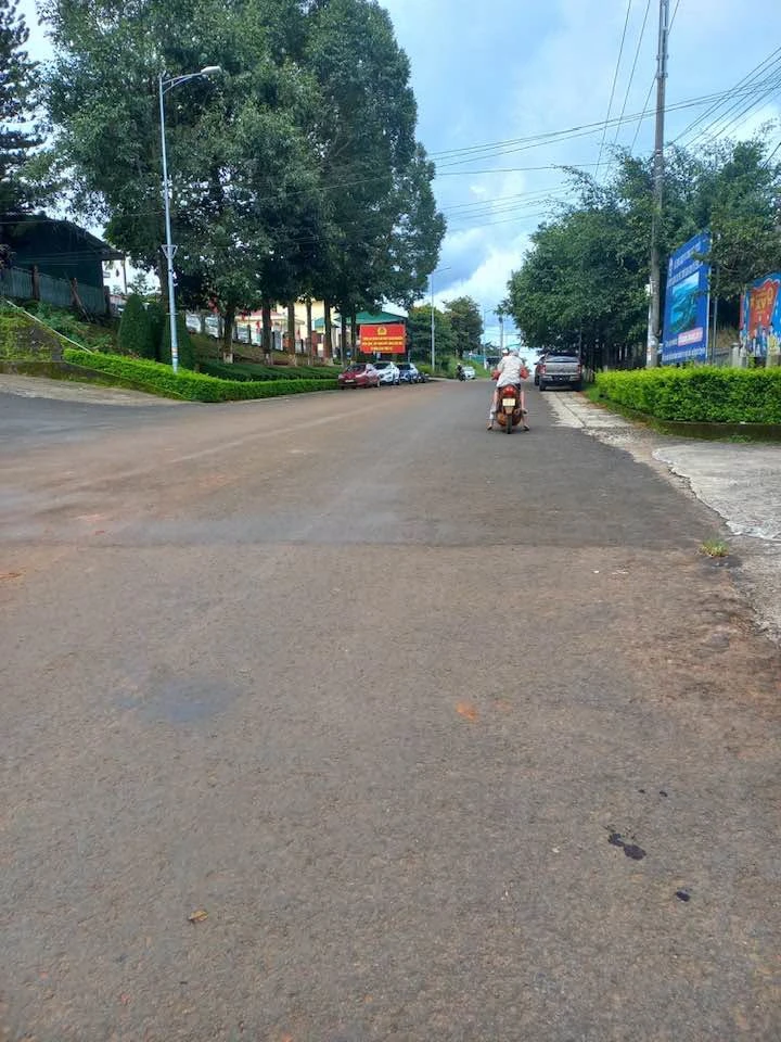 Bán gấp lô nền 700m² Trần Hưng Đạo, Bình Chánh 1,75 tỷ - Ảnh 1