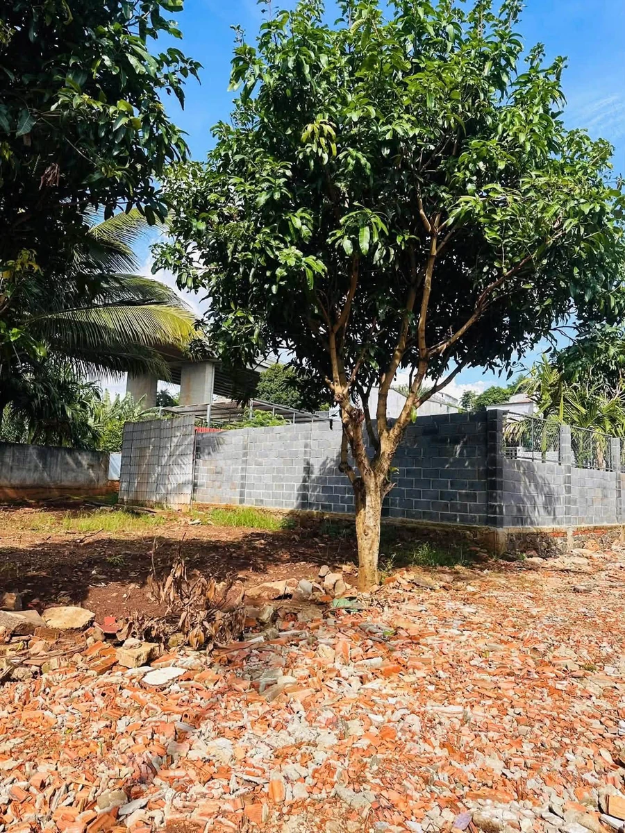 Bán đất hẻm 106 Nguyễn Du Buôn Ma Thuột 1.070m² giá 4,6 tỷ - Ảnh thu nhỏ 4