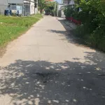 Bán đất Kim Bình - Hàm Thắng 200m² giá 2,1 tỷ - Ảnh thu nhỏ 5