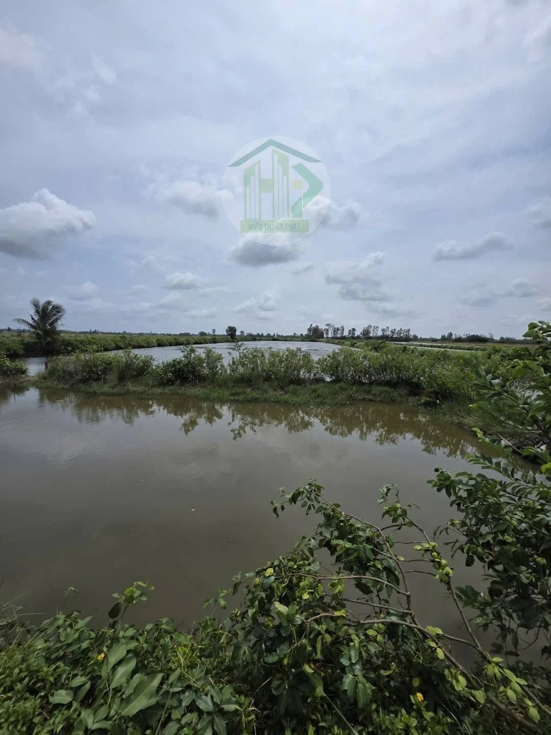 Bán đất lúa tôm 9.773 m² thị trấn Phước Long, Cà Mau - Ảnh 1