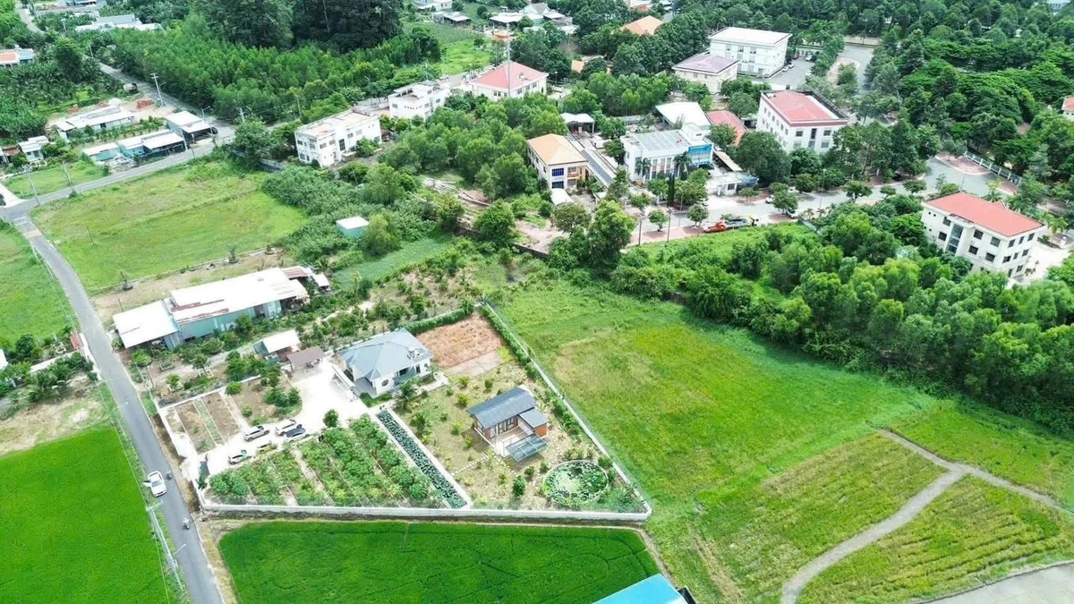 Bán nhà vườn mặt tiền Nguyễn Công Hoàn 3015m2 Đất Đỏ - Ảnh thu nhỏ 3