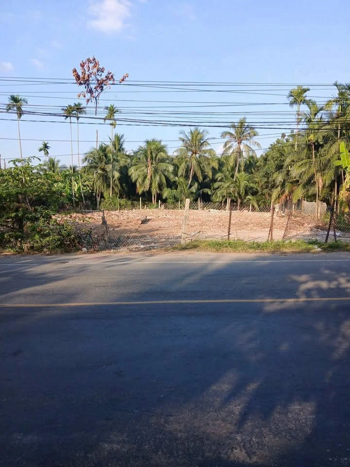 Bán đất mặt tiền 1.000m2, ngang 30m, có 300m thổ cư gần cầu Phong Nẫm, Bến Tre - Ảnh thu nhỏ 2