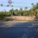 Bán đất mặt tiền 1.000m2, ngang 30m, có 300m thổ cư gần cầu Phong Nẫm, Bến Tre - Ảnh thu nhỏ 2