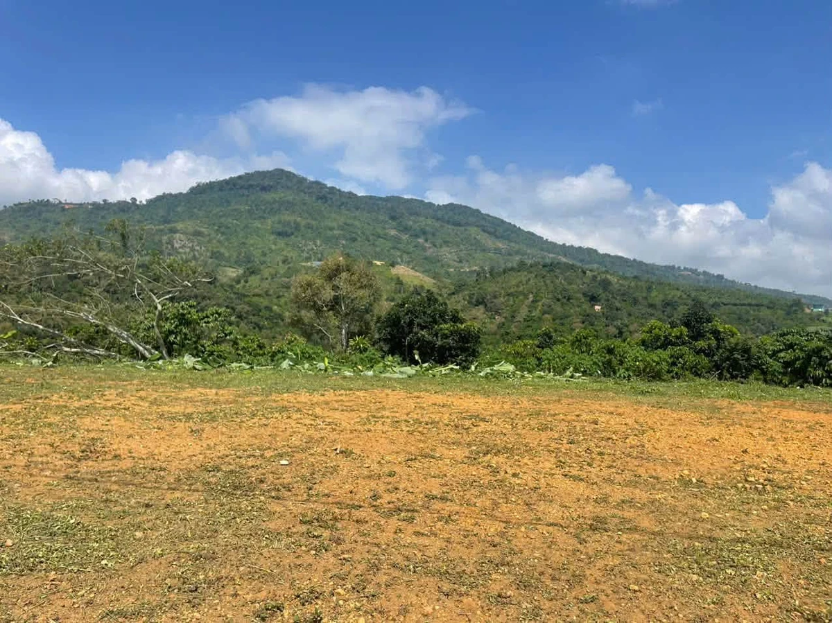Bán lô đất 133m² view núi và TP Bảo Lộc, Lâm Đồng - Ảnh thu nhỏ 5