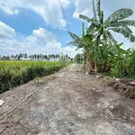 Bán đất thổ cư 380m² Bình Tân, 500 triệu - Ảnh thu nhỏ 3