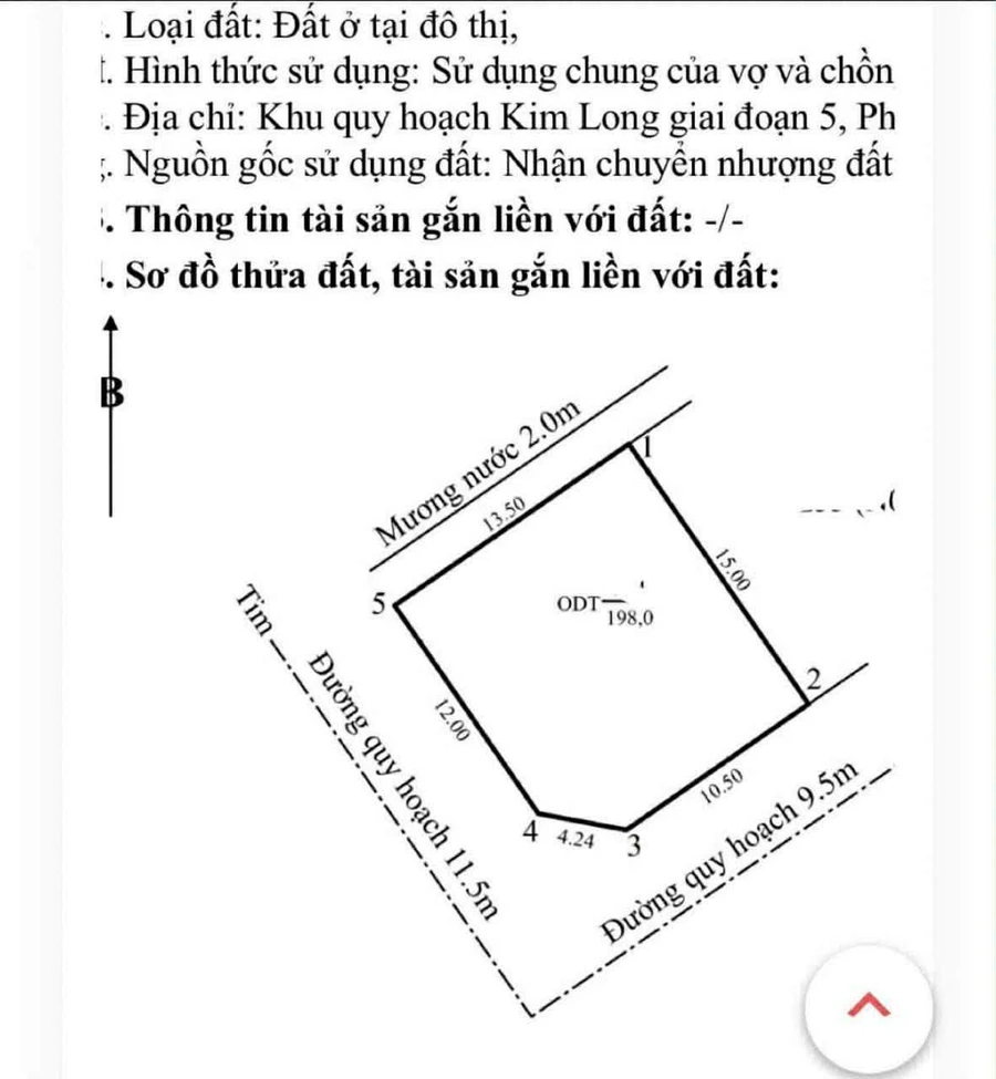 Bán đất 2 mặt tiền 198m2 Kim Long Bình Chánh 6 tỷ - Ảnh thu nhỏ 4