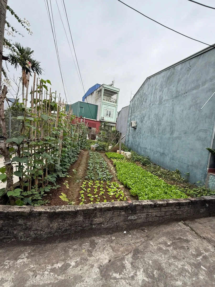 Bán lô góc 73,2m2 mặt tiền 4m Hải Phòng - Ảnh thu nhỏ 2