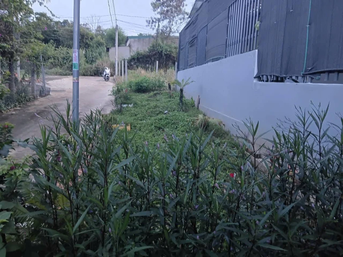 Nhà bán 2 mặt tiền Thạnh Nhất Nhà Bè 255m² 1,65 tỷ - Ảnh thu nhỏ 5