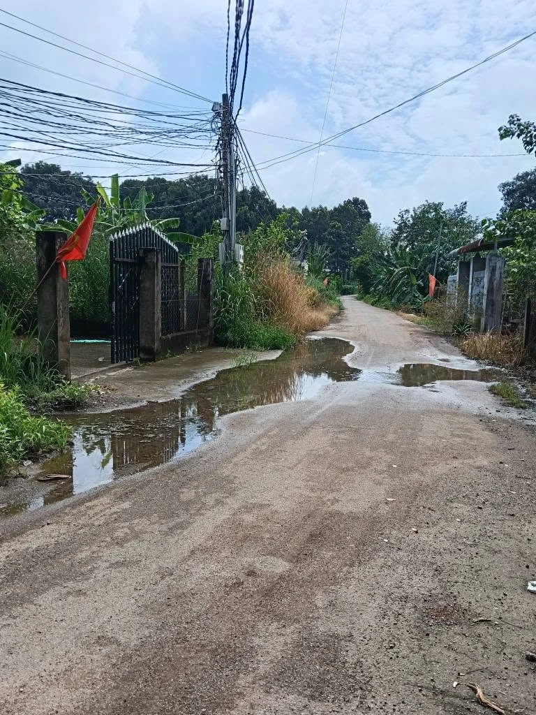 Bán đất nền Bàu Hàm 100m² sổ riêng gần Nguyễn Hoàng - Ảnh thu nhỏ 4