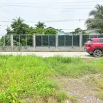 Bán đất thổ cư 110m2 mặt tiền đường liên ấp 5-8 Nhựt Chánh, Bến Lức, Long An - Ảnh thu nhỏ 2