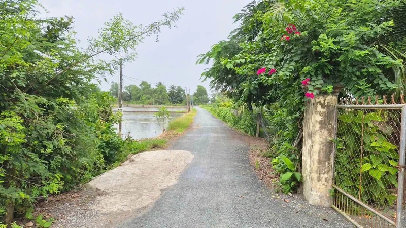 Bán đất thổ cư 150m² chỉ 150 triệu Thủ Thừa
