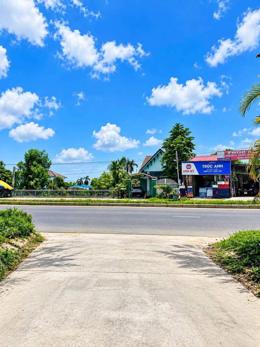 Bán đất kiệt ô tô Trưng Nữ Vương Thanh Thuỷ 113,8m² giá 799 triệu - Ảnh thu nhỏ 2