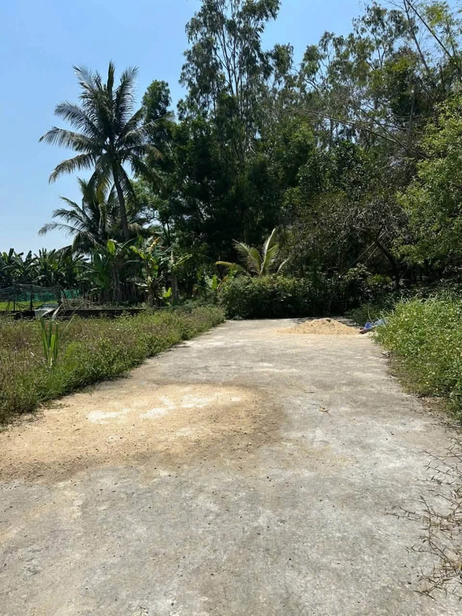 Bán đất Hòa Phước, Hòa Xuân, 120m2, 1 tỷ 6 - Ảnh thu nhỏ 3