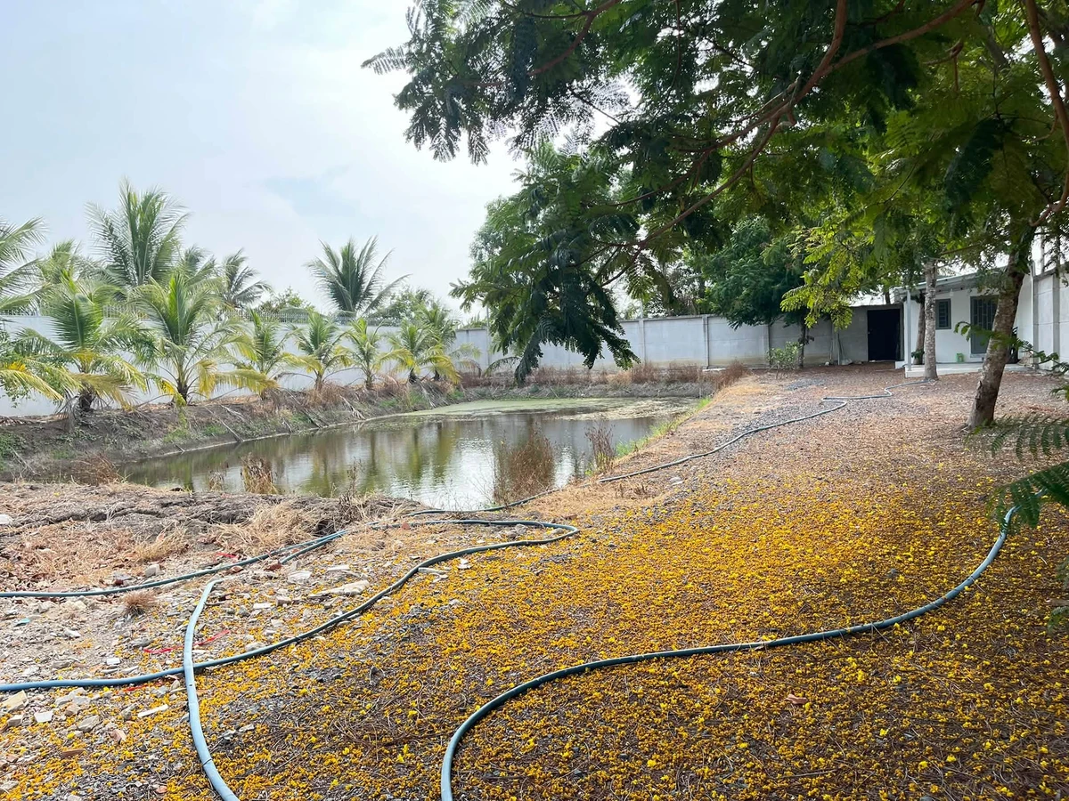 Bán đất 2.100m2 xây nhà vườn Cần Giờ - Ảnh thu nhỏ 5