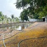 Bán đất 2.100m2 xây nhà vườn Cần Giờ - Ảnh thu nhỏ 5