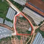 Bán đất 1672m² (200m² thổ cư) Xuân Thọ, Nhà Bè - Ảnh thu nhỏ 2