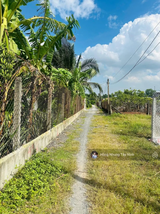 1,2 tỷ - Đất xây trọ gần KCN Phước Đông, Tây Ninh 11x46m có 100m² thổ cư - Ảnh thu nhỏ 4