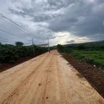 Bán đất 1000m² mặt đường bê tông 6m, lên full thổ cư tại xã Tân Hội, Lâm Đồng - Ảnh thu nhỏ 2