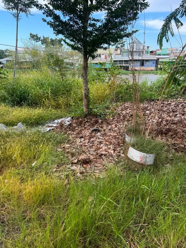 Bán nền đất 81m² đã đổ bê tông, mặt sông, Đồng Tháp