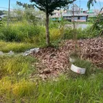 Bán nền đất 81m² đã đổ bê tông, mặt sông, Đồng Tháp - Ảnh thu nhỏ 1