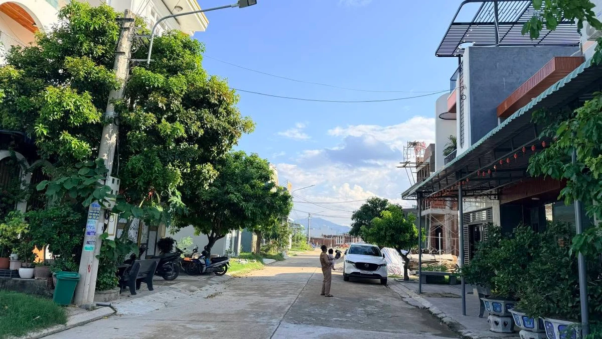 Bán lô đất Gia Lai 305m² giá 1 tỷ 5 - Ảnh thu nhỏ 2