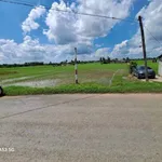 Bán đất vườn 5700m² mặt tiền 7m Tây Ninh - Ảnh thu nhỏ 2