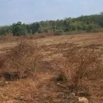 Bán 2 lô đất mặt tiền kênh Tây, Châu Thành, 50m² - Ảnh thu nhỏ 2