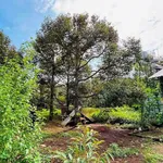 Bán đất 1000m² Xuân Tân, Long Khánh 2 tỷ 300 triệu - Ảnh thu nhỏ 1