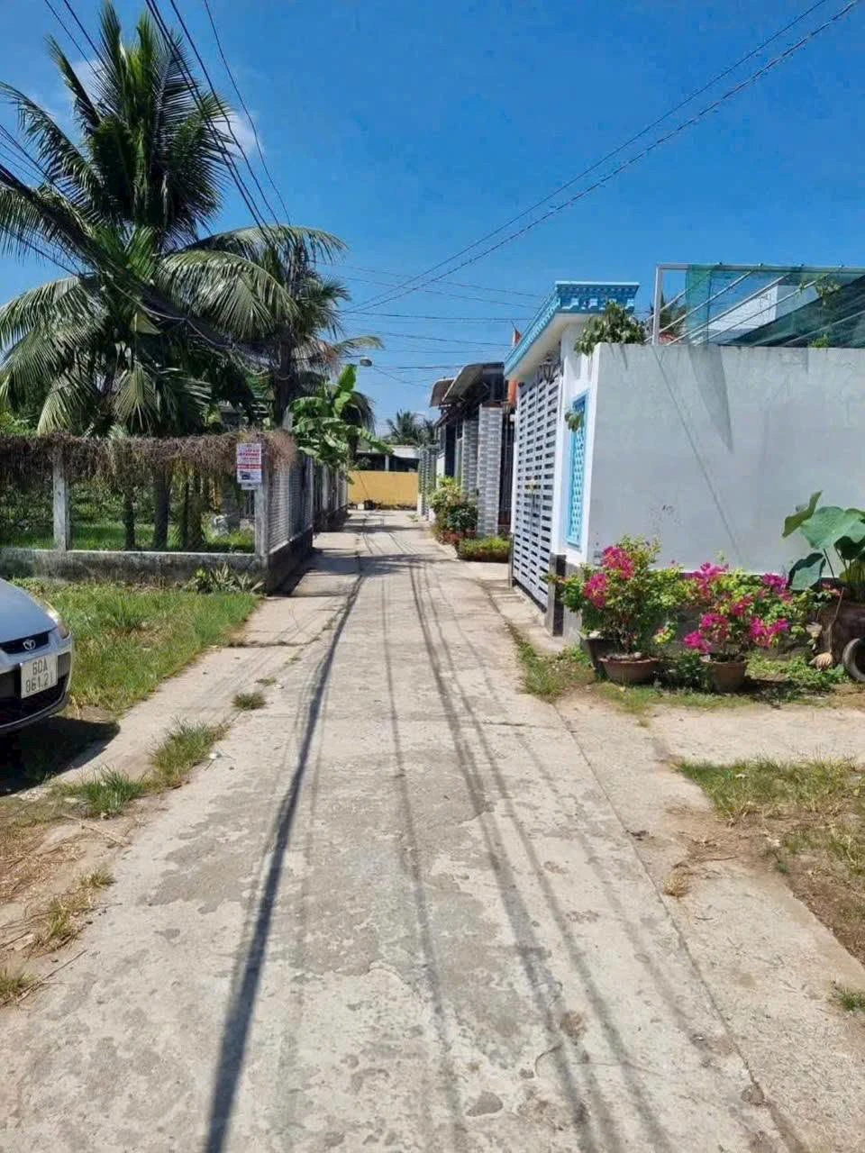 Bán nền Phú Tân Bình Chánh 128m² sổ thế chấp - Ảnh 1