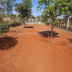 Bán lô đất vườn Hoà Long 553m2, 4 tỷ 180 - Ảnh thu nhỏ 4