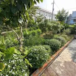 Bán nhà vườn 440m2 Phường Bình Thuận, Phan Thiết - Ảnh thu nhỏ 3