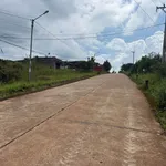 Bán đất 1.2ha mặt đường Đức An, Bình Dương - Ảnh thu nhỏ 1