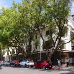 Nhà phố 5 tầng hoa viên vị trí đẹp Eco Palace - Ảnh thu nhỏ 8