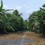 Bán nhà xưởng mặt tiền QL1A Mỹ Tho 3.133m2 - Ảnh thu nhỏ 4