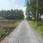 Bán đất 111m2 Phùng Hưng Bình Chánh - Ảnh thu nhỏ 2