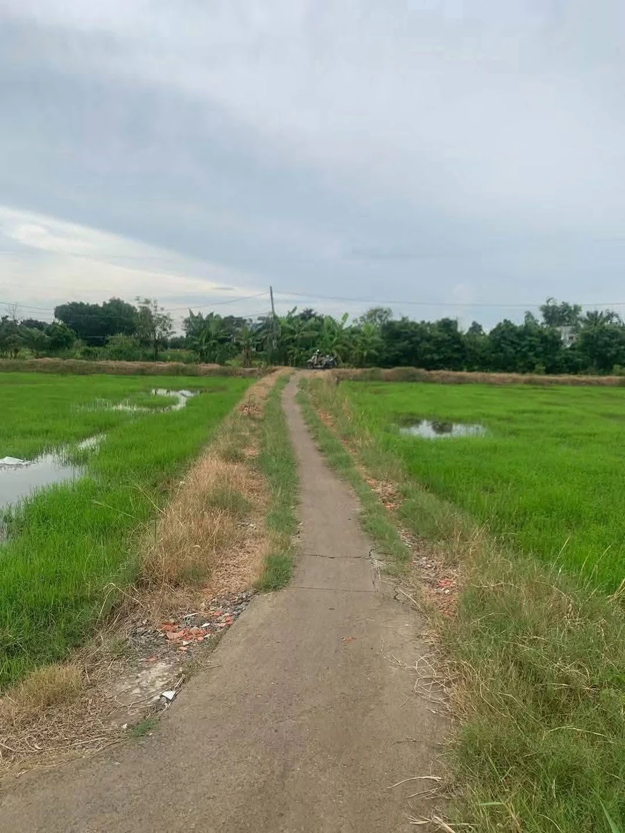 Bán 1.045,6 m² đất lúa ấp 1, Phước Đông, Cần Đước giá 600 triệu - Ảnh thu nhỏ 4