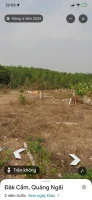 Bán đất diện tích 250m² (5x50m) tại thôn 8, phường Đắk Cấm, tỉnh Quảng Ngãi - Ảnh thu nhỏ 5