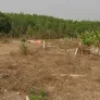 Bán đất diện tích 250m² (5x50m) tại thôn 8, phường Đắk Cấm, tỉnh Quảng Ngãi - Ảnh thu nhỏ 5