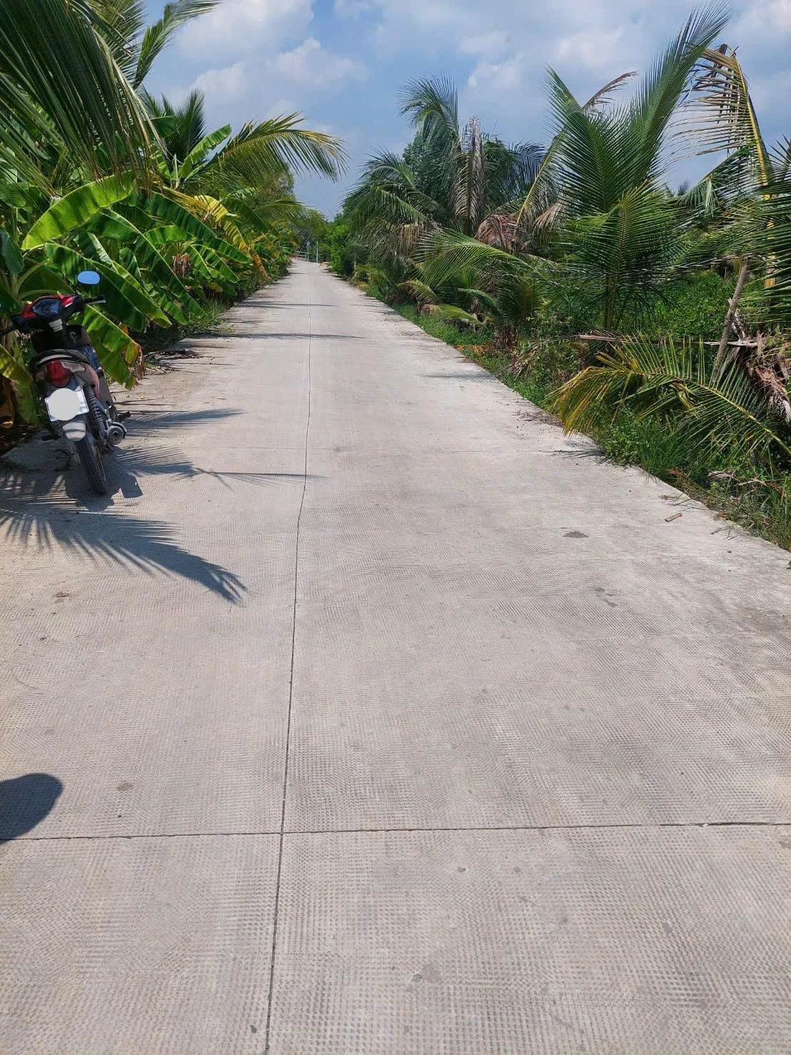 Bán đất thổ cư mặt tiền 7m Hoà Khánh Tây Ninh 160m2 giá 599tr - Ảnh 1