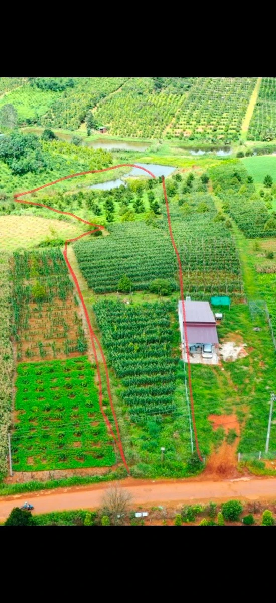 Bán lô đất 1.100m2 mặt đường nhựa tại Nâm N'Jang, Đắk Song, Đắk Nông - Ảnh 1