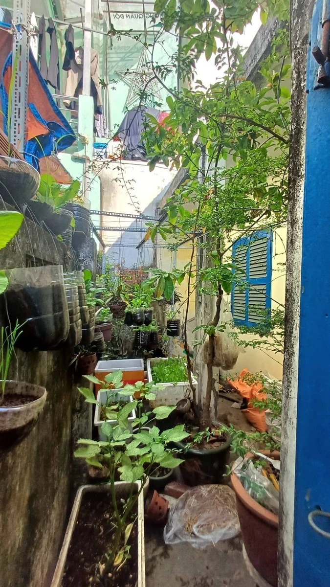 Bán đất 200m2 (10.5x18.5) khu Phan Xích Long, Phường 7, Phú Nhuận, giá 100 triệu/m2 - Ảnh thu nhỏ 5