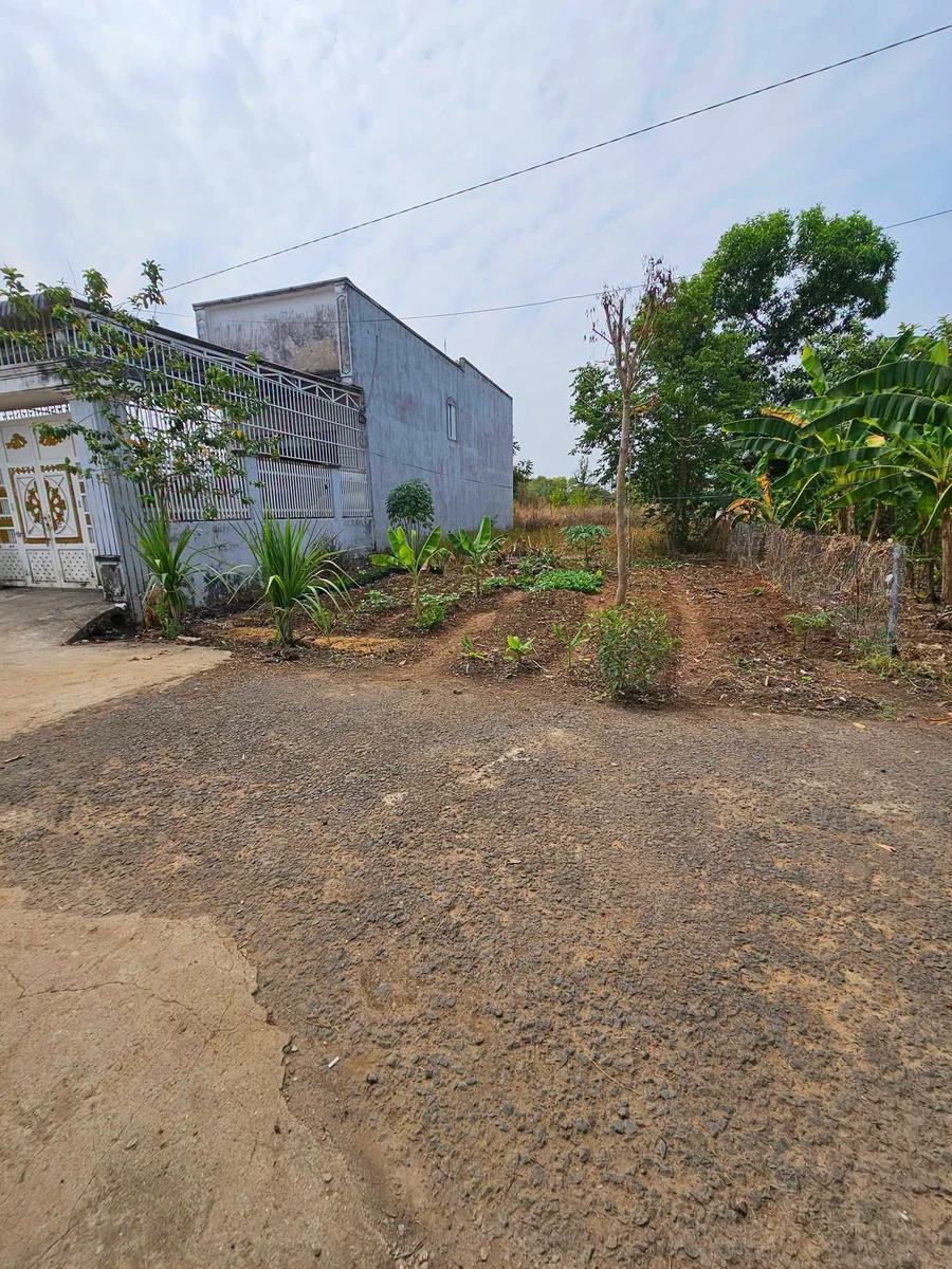 Bán lô đất 250 m² Phường Bình Phước, Đồng Nai, 1.5 tỷ - Ảnh thu nhỏ 3