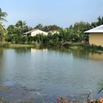 Bán đất ao cạn 4000m2 thị trấn Cần Đước, Long An giá 1,4 tỷ - Ảnh thu nhỏ 3